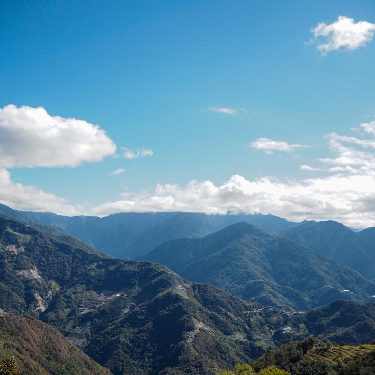 Family terraces and cafés for calm evenings in London